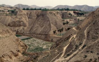 ‘All the birds returned’: How China led the way in water and soil conservation