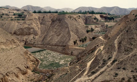 ‘All the birds returned’: How China led the way in water and soil conservation