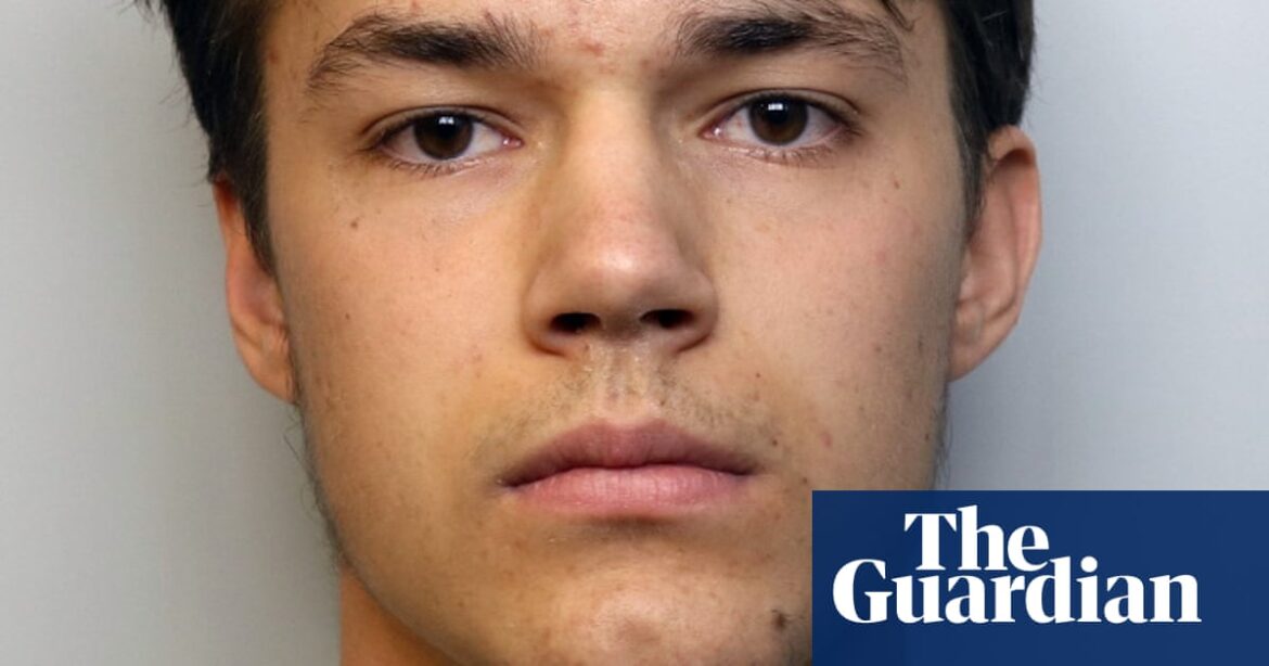 Boy, 17, who stabbed his older sister to death pleads guilty to her murder