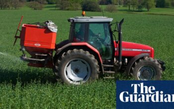 Farmers in England furious as Defra pauses post-Brexit payment scheme