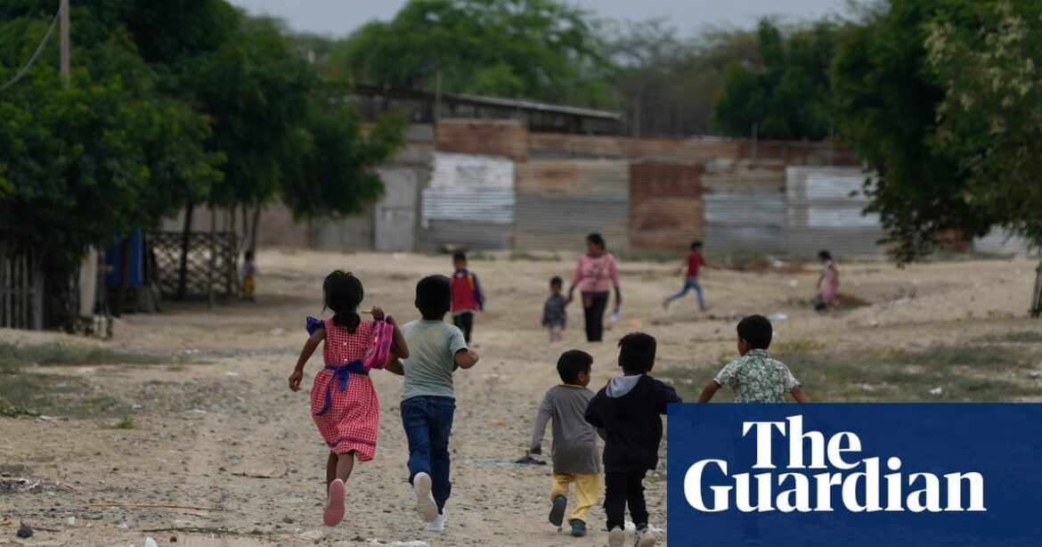 Fears for human rights as Peru passes ‘simply brutal’ anti-NGO law