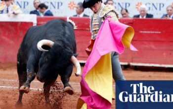 Mexico City introduces ‘bloodless bullfighting’ in win for animal rights activists