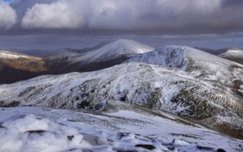 Mystery donor’s £17.5m gift could turn Scottish estate into rewilding showcase