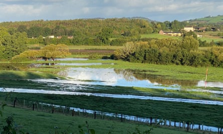 The newly restored River Culm floodplain at Killerton, Devon.