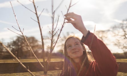 Fi Hailstone reaching up to touch the branch of a young tree