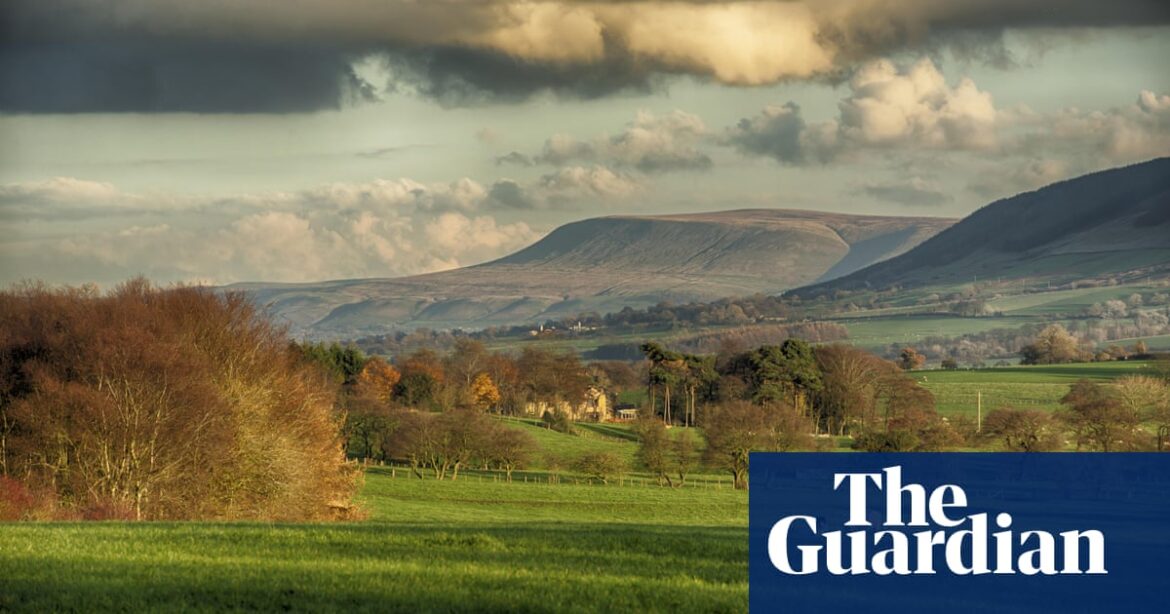 Richest farmers in England may lose sustainability funding in Defra review