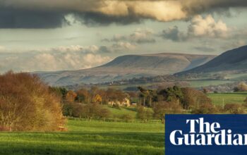 Richest farmers in England may lose sustainability funding in Defra review