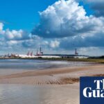 Urgent action needed to harness tidal power in Severn estuary, say experts