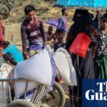 World Food Programme halves food rations for Rohingya in Bangladesh