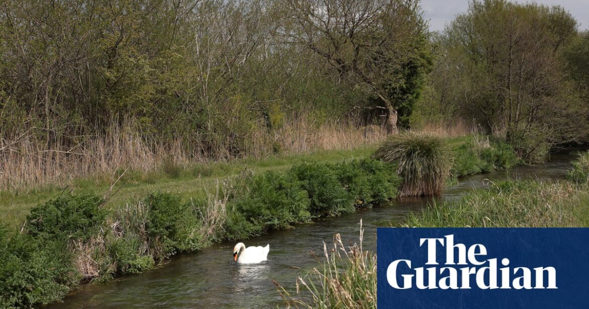 Attempt to protect England’s rare chalk streams in planning bill rejected by Labour MPs