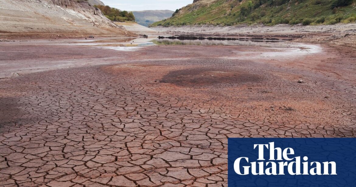 Exceptionally low river flows forecast across UK as drought threat grows