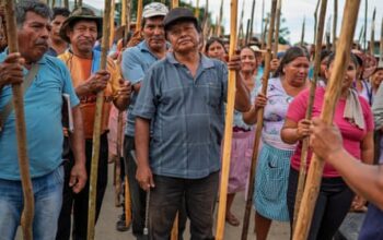 From president to fugitive: in the jungle hideout of Evo Morales