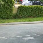 London police search for teenagers after kittens found ‘mutilated’