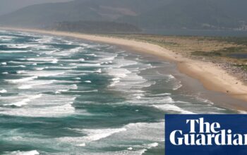 Powerful earthquake could raise Pacific north-west sea levels ‘dramatically’ – study