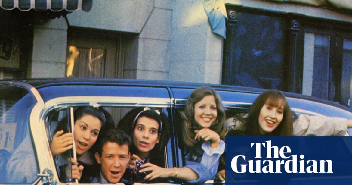 ‘Pure sugar-rush mayhem’: why I Wanna Hold Your Hand is my feelgood movie